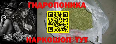 гашик Обь