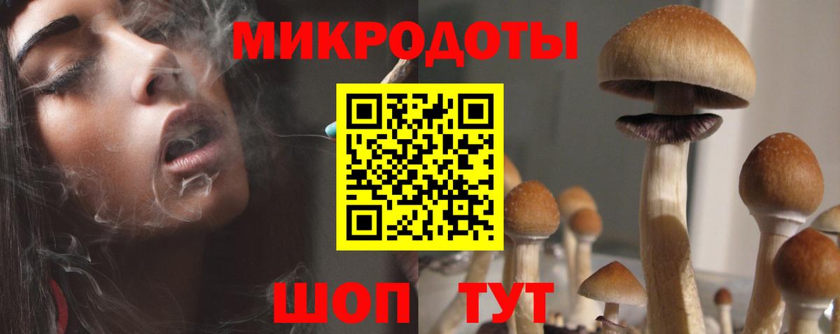 Псилоцибиновые грибы Psilocybe Ростов-на-Дону
